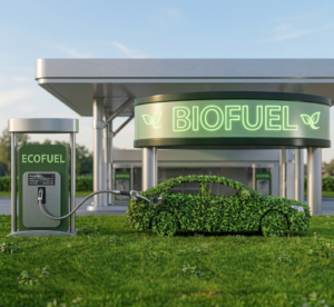 Biofuel Industry - WGES Profile